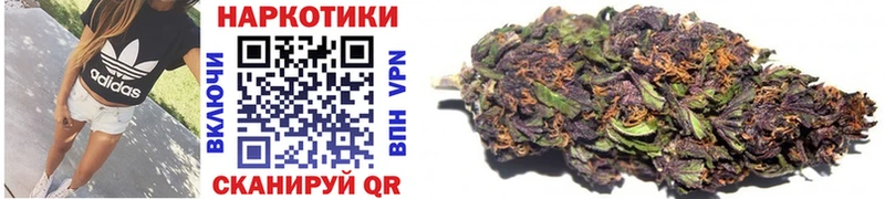 APVP Вяземский