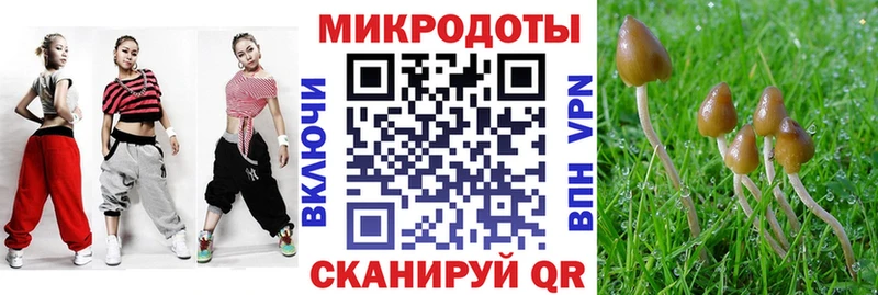 Галлюциногенные грибы мицелий  Вяземский 